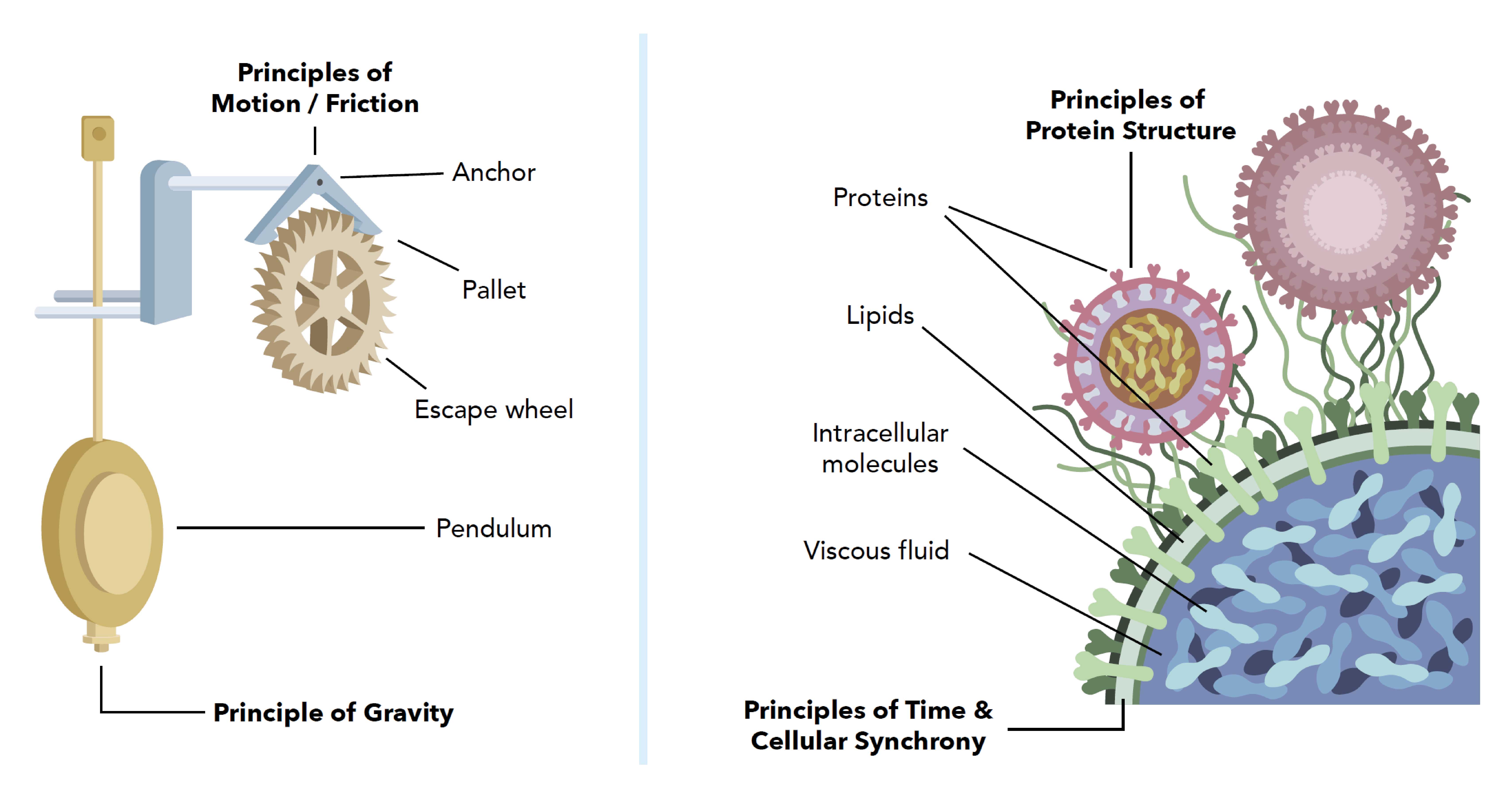 Principled Mechanistic Explanation